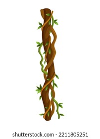 Twisted Wild Lianas Branches Banner. Jungle Vine Plants. Rainforest Flora And Exotic Botany. Woody Natural Branches