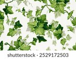 Twisting ivy leaves (1840s) pattern in high resolution. Vintage floral pattern wallpaper. Vintage pattern botanical floral artwork illustration. Botanical Twisting ivy leaves wallpaper