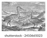 Two birds in a landscape, Adriaen Collaert, 1598 - 1618 A heron and a snipe in a landscape. In the background a view of a city. The print is part of a series with birds as subject.
