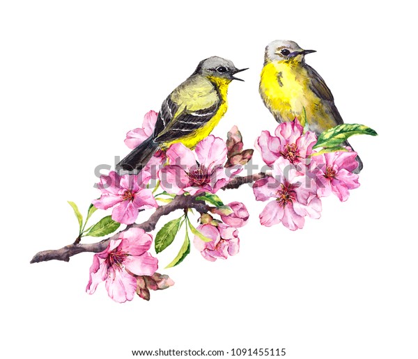 Two Birds On Blossom Apple Cherry Stock Illustration 1091455115