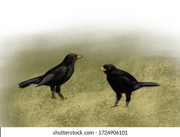two black birds on the ground