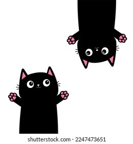 Two black cat set
