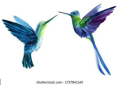 Two Bright Little Birds, A Hummingbird On An Isolated White Background, Watercolor Hand Drawing