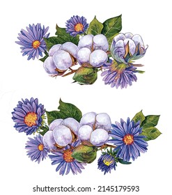 Two compositions cotton   aster flowers  Watercolor illustration paper 