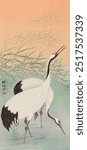 Two cranes (1925 - 1936) by Ohara Koson. Ohara Koson famous woodblock print of cranes. Vintage woodblock art print. Vintage Japanese illustration. Vintage art. Animal illustration.