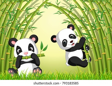 Two Cute Panda In A Bamboo Forest