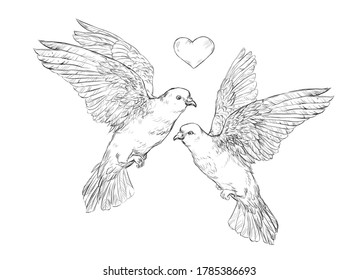 Featured image of post The Best 20 Flying Realistic Dove Drawing