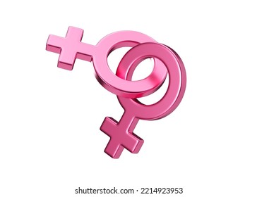 Two Female Sex Symbols Isolated On White Background. Venus Symbol For Women. Gender Sign. Love, LGBT Community. Lesbians Couple, Relationship. Diversity, Homosexuality, Equal Marriage. 3D Illustration