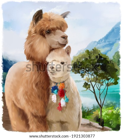 Two fluffy alpacas on the background of the lake