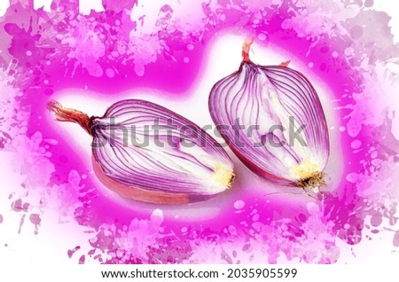 Two halves of a ripe raw unpeeled onion. Italian Onion Ramata di Milano. Cross section Root vegetable in the peel. Digital watercolor painting.