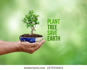 Two hands of the men were planting the tree in the ground of earth - Powered by Shutterstock