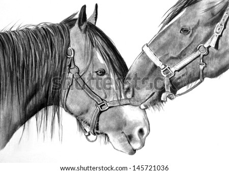 Two Horses Nuzzling Original Pencil Drawing Stockillustration