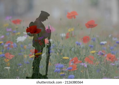 Two images composite. Wild flowers image taken on 27 July 2014 in Burnley Lancashire, UK, and the second one at Slaidburn War Memorial taken on 12 June 2018 in Slaidburn, Lancashire UK.