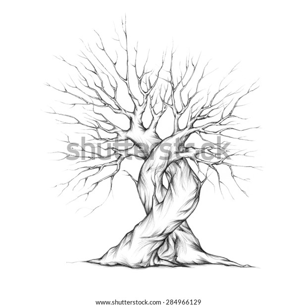 Two Intertwined Trees Stock Illustration 284966129