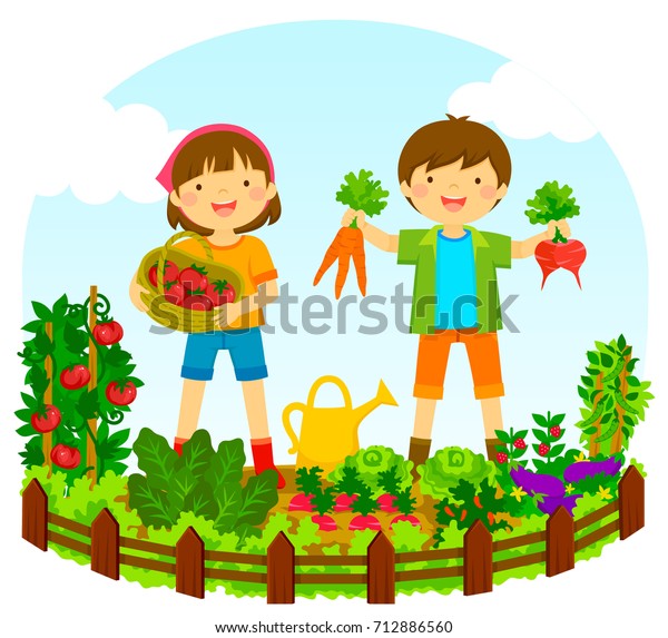 Two Kids Picking Vegetables Vegetable Garden Stock Illustration 712886560