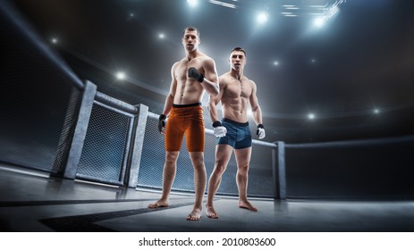 Two MMA Fighters Cage. Muscular Athletes. MMA Fighters In The Octagon. Sport. 3D