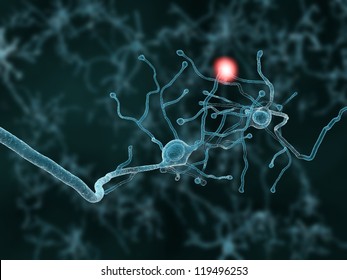 Two Neurons