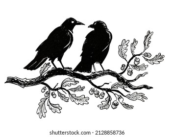 Two Pair Of Crow Birds Sitting On An Oak Tree. Ink Black And White Drawing