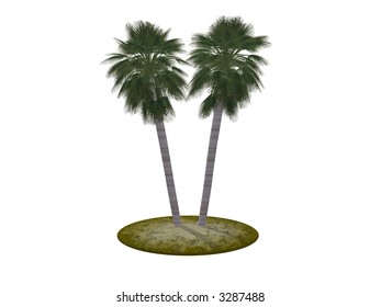 Two palm trees