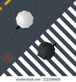 Two Pedestrians, One With A White Umbrella And One With A Black Umbrella Are Seen From Above At A Crosswalk In This 3-d Illustration.