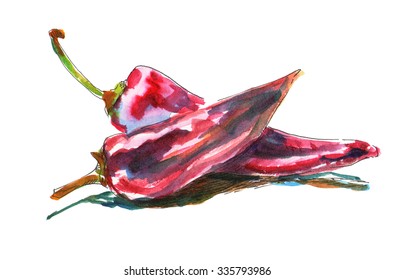  two pods of red pepper, ink and watercolor 