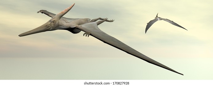 Two Pteranodon Dinosaurs Flying In Cloudy Sky