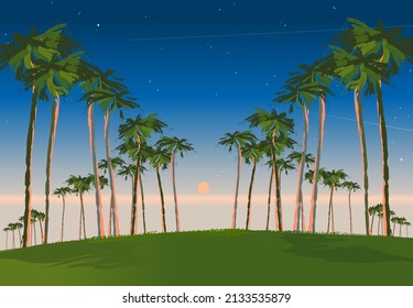 two rows of palm trees