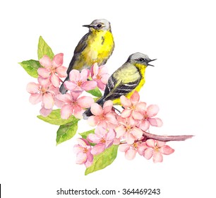 Two Song Birds On Spring Blossom Branch With Pink Apple Flowers. Watercolor