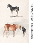 Two Studies: a Foal, and a Mare and Foal (1769-1844) by Robert Hills.  Vintage horse art drawing, old illustration, horse and animal art print painting.