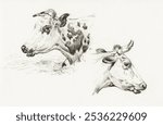 Two studies of the head of a cow (1825) by Jean Bernard. Black and white cow head animal illustration. Vintage cow animal art drawing illustration, old painting art print of living creature.