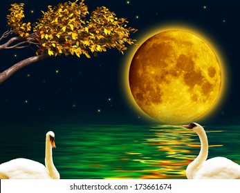 two swans in the full moon night