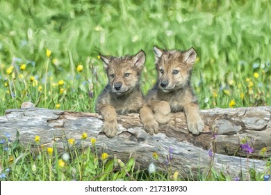 Two timber wolf cubs