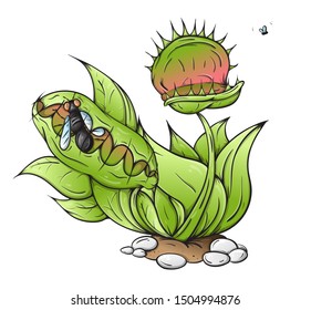 Two Venus fly trap eats  catches fly  Isolated white background creative high quality drawing 
