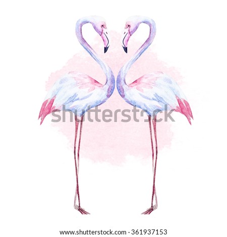 Two watercolor pink flamingo, isolated illustration, romance, day of St. Valence