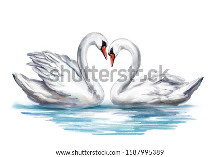 two white Swan birds on a pond together, symbol of love, Valentine's day card, wedding, art illustration painted with watercolors isolated on white background