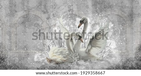 two white swans in your room for a romantic setting