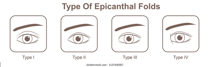 Epicanthic Eye Fold Images Stock Photos Vectors Shutterstock