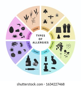 Types Of Allergies Infographics Design  Illustration. Animal Hair, Latex, Drugs, Insect, Food, Gluten, Pollen Allergy. Banner Template With Different Allergen Symbols