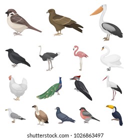 Types Of Birds Cartoon Icons In Set Collection For Design. Home And Wild Bird Bitmap Symbol Stock Web Illustration.