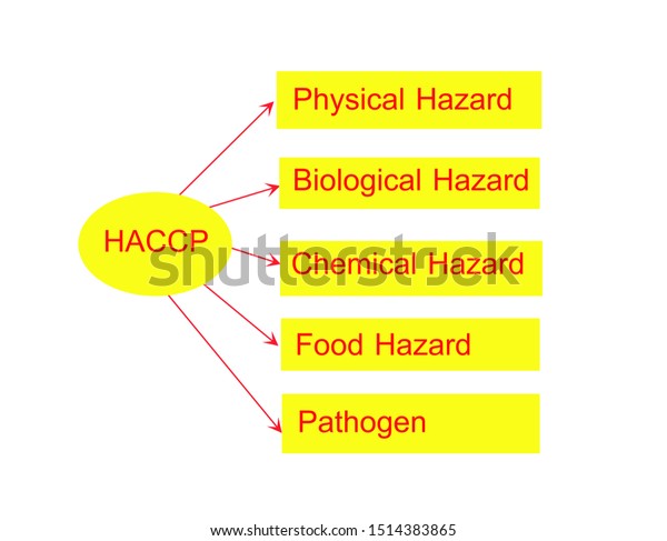 Types Hazards That Can Be Found Stock Illustration 1514383865