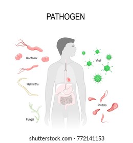 Types Pathogens Virus Bacteria Fungus Helminths Stock Illustration ...