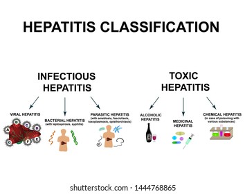 Types Of Viral Hepatitis Chart
