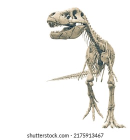 Tyrannosaur Skeleton Walking Pose, 3d Illustration