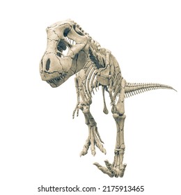 Tyrannosaur Skeleton Walking Slowly, 3d Illustration