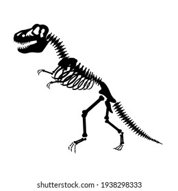 Tyrannosaurus Dinosaur Skeleton Drawing On White Background