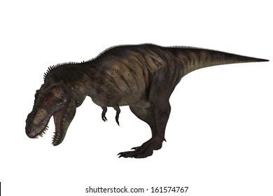 Parasaurolophus 3d Illustration Stock Illustration 432191740