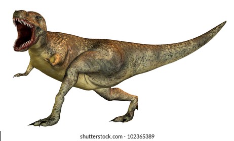 Tyrannosaurus Rex Computer Generated 3d Illustration Stock Illustration ...