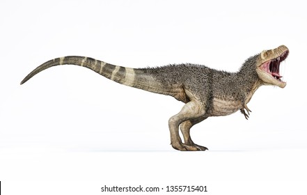 Tyrannosaurus Rex With Feathers. Isolated On White Background. Photorealistic 3d Rendering.