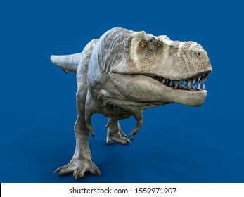 Tyrannosaurus Rex On Blue Background 3d Stock Illustration 1559971907