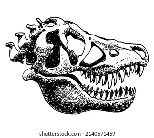 Tyrannosaurus Rex Skull. Ink Black And White Drawing